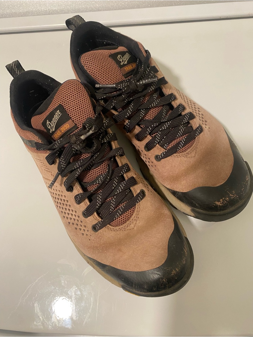 Danner Trail 2650 GTX Hiking Shoe - Women's Mauve US9.5 UK7